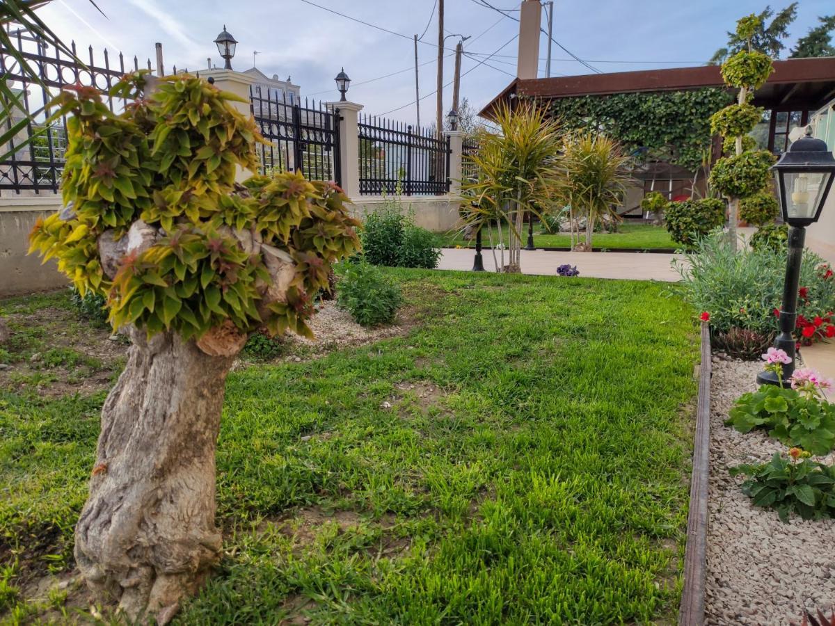 Simplycity Homestay Apartments クレマスティ エクステリア 写真